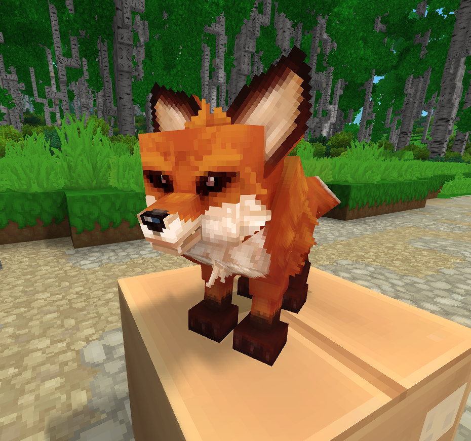 Foxy